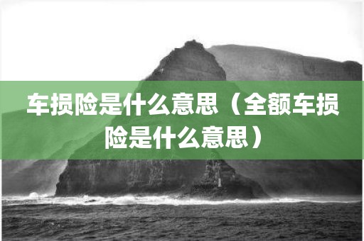 车损险是什么意思（全额车损险是什么意思）