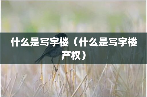 什么是写字楼（什么是写字楼产权）