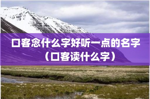 口客念什么字好听一点的名字（口客读什么字）