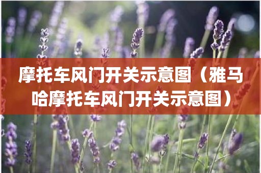 摩托车风门开关示意图（雅马哈摩托车风门开关示意图）