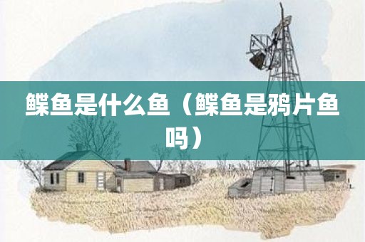 鲽鱼是什么鱼（鲽鱼是鸦片鱼吗）
