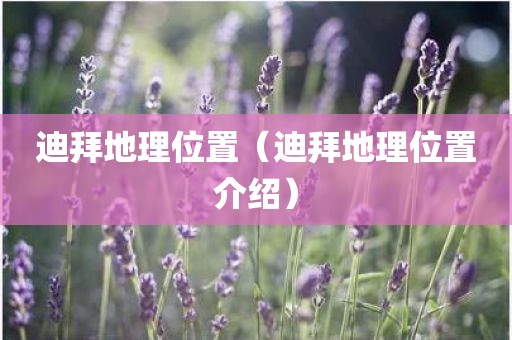 迪拜地理位置（迪拜地理位置介绍）