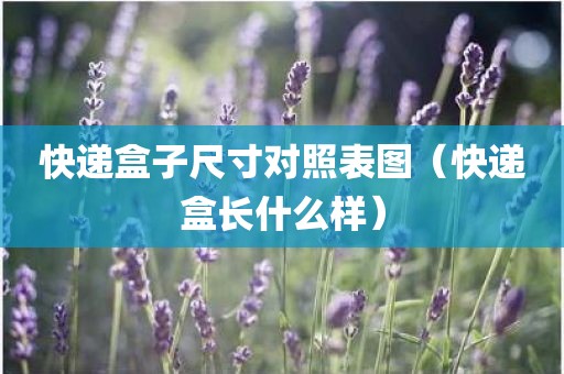 快递盒子尺寸对照表图（快递盒长什么样）