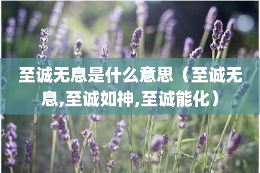 至诚无息是什么意思（至诚无息,至诚如神,至诚能化）