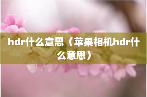 hdr什么意思（苹果相机hdr什么意思）