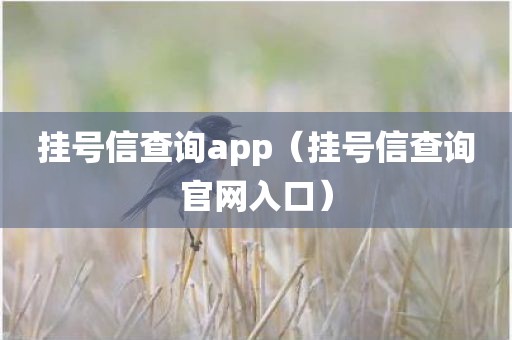 挂号信查询app（挂号信查询官网入口）