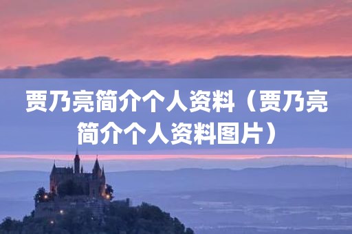 贾乃亮简介个人资料（贾乃亮简介个人资料图片）
