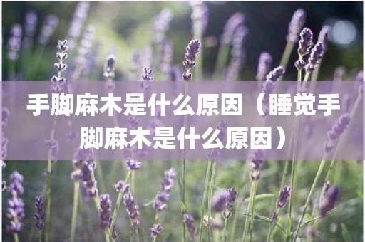 手脚麻木是什么原因（睡觉手脚麻木是什么原因）