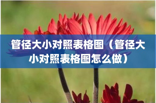 管径大小对照表格图（管径大小对照表格图怎么做）