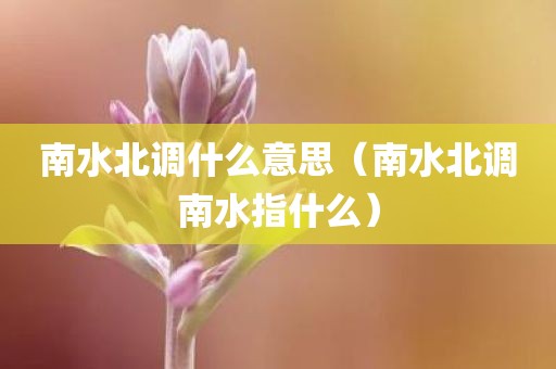 南水北调什么意思（南水北调南水指什么）