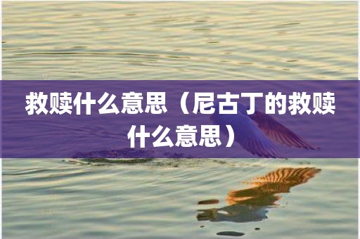 救赎什么意思（尼古丁的救赎什么意思）