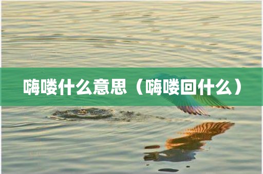 嗨喽什么意思(嗨喽回什么)