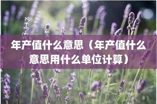 年产值什么意思(年产值什么意思用什么单位计算)