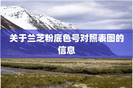 关于兰芝粉底色号对照表图的信息