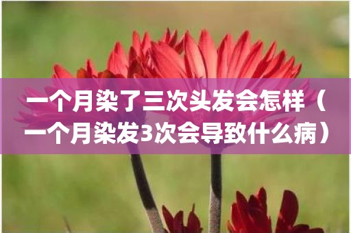 一个月染了三次头发会怎样（一个月染发3次会导致什么病）