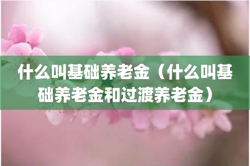 什么叫基础养老金（什么叫基础养老金和过渡养老金）