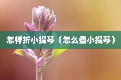 怎样折小提琴（怎么叠小提琴）