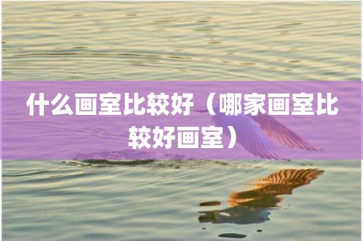 什么画室比较好（哪家画室比较好画室）