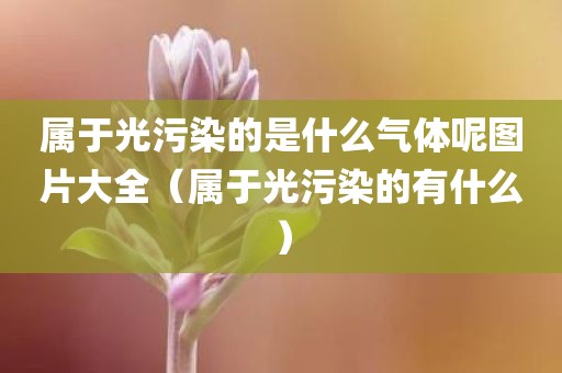 属于光污染的是什么气体呢图片大全（属于光污染的有什么）