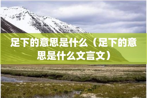 足下的意思是什么（足下的意思是什么文言文）