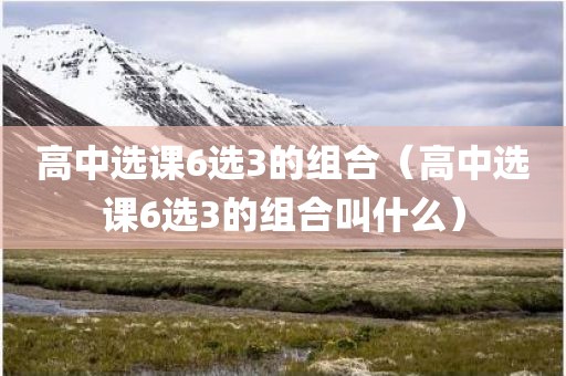 高中选课6选3的组合（高中选课6选3的组合叫什么）