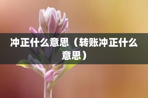 冲正什么意思（转账冲正什么意思）
