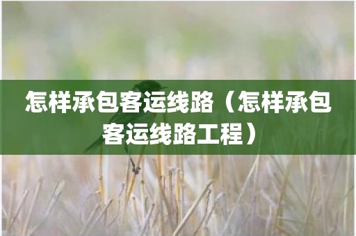 怎样承包客运线路（怎样承包客运线路工程）