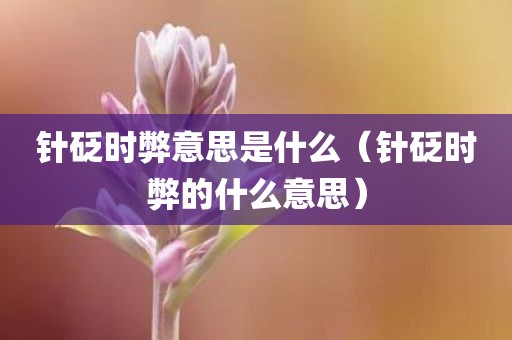针砭时弊意思是什么（针砭时弊的什么意思）