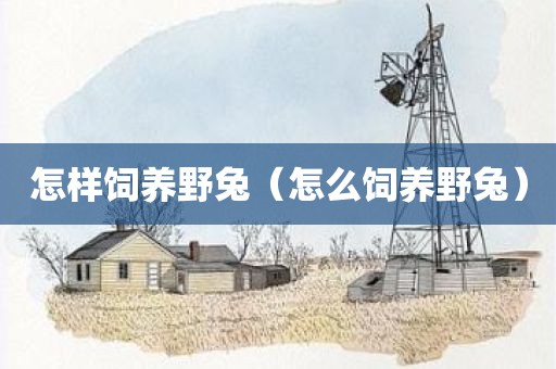 怎样饲养野兔（怎么饲养野兔）