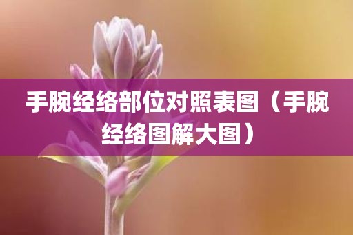 手腕经络部位对照表图（手腕经络图解大图）