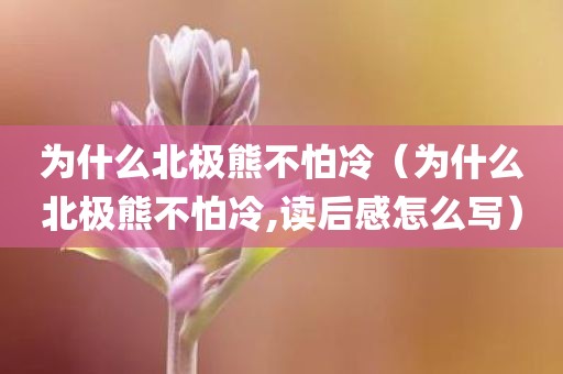 为什么北极熊不怕冷(为什么北极熊不怕冷,读后感怎么写)