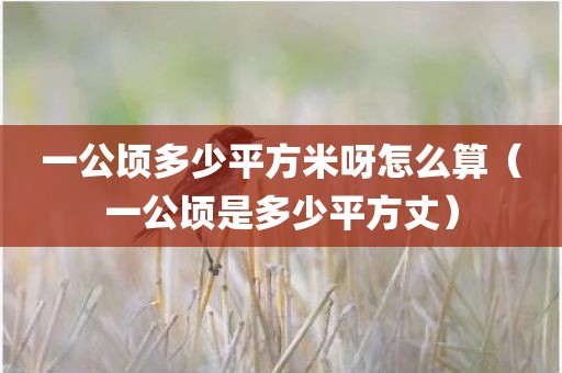 一公顷多少平方米呀怎么算（一公顷是多少平方丈）