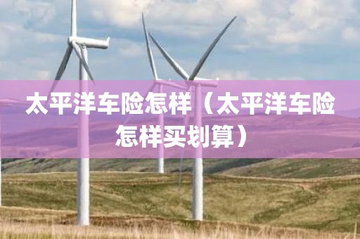 太平洋车险怎样（太平洋车险怎样买划算）