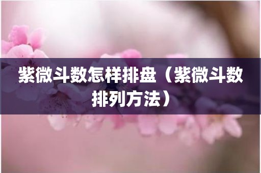 紫微斗数怎样排盘（紫微斗数排列方法）
