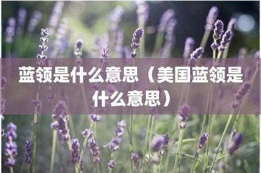 蓝领是什么意思（美国蓝领是什么意思）