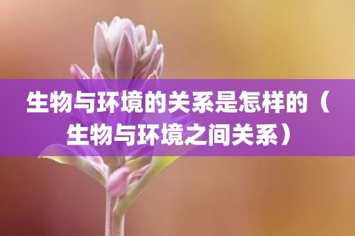 生物与环境的关系是怎样的（生物与环境之间关系）