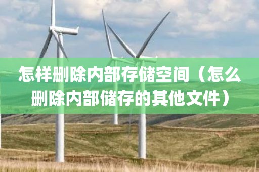 怎样删除内部存储空间（怎么删除内部储存的其他文件）