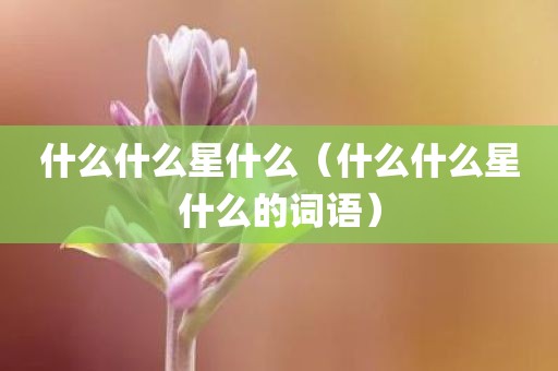 什么什么星什么（什么什么星什么的词语）