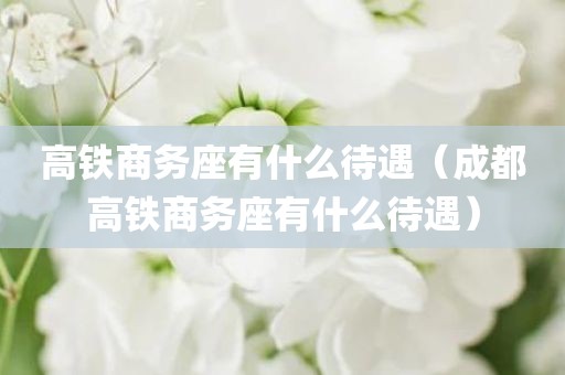 高铁商务座有什么待遇（成都高铁商务座有什么待遇）
