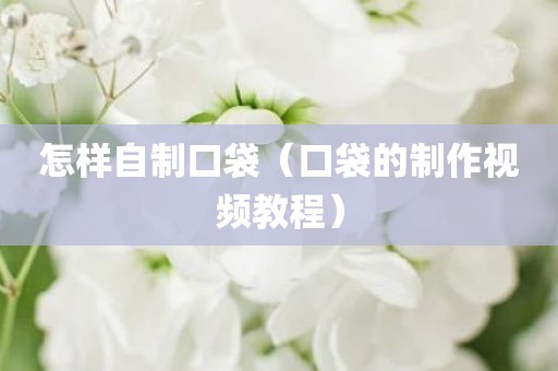 怎样自制口袋（口袋的制作视频教程）
