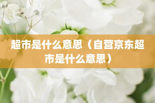 超市是什么意思（自营京东超市是什么意思）