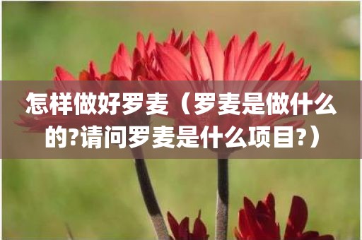 怎样做好罗麦（罗麦是做什么的?请问罗麦是什么项目?）
