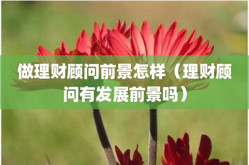 做理财顾问前景怎样（理财顾问有发展前景吗）