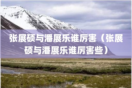 张展硕与潘展乐谁厉害(张展硕与潘展乐谁厉害些)