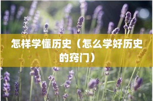 怎样学懂历史（怎么学好历史的窍门）