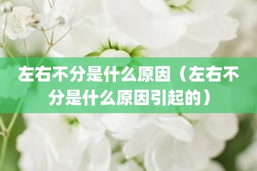 左右不分是什么原因（左右不分是什么原因引起的）