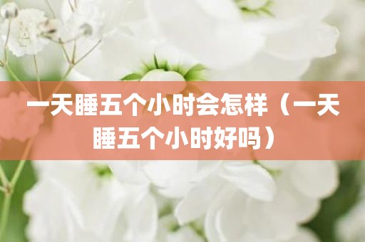 一天睡五个小时会怎样（一天睡五个小时好吗）