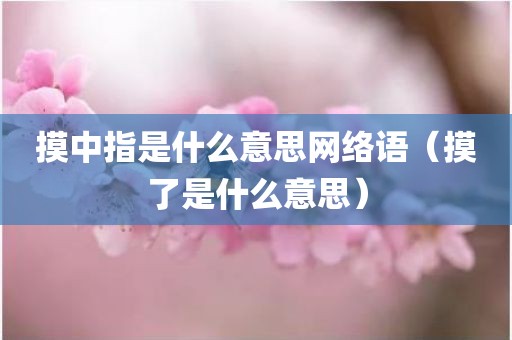 摸中指是什么意思网络语（摸了是什么意思）