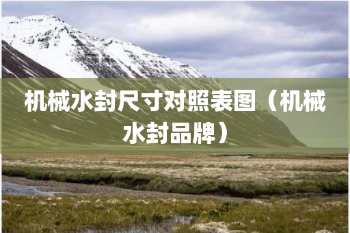 机械水封尺寸对照表图（机械水封品牌）