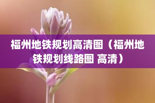福州地铁规划高清图（福州地铁规划线路图 高清）